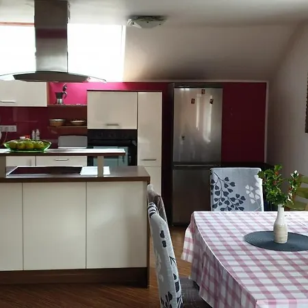 Apartament Hisa Bizjak *