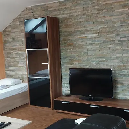 Apartament Hisa Bizjak *