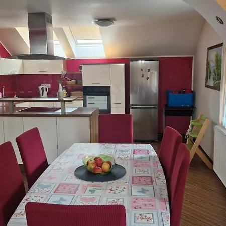 公寓 Hisa Bizjak *