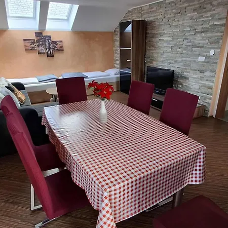 公寓 Hisa Bizjak 克拉尼