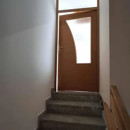 Hisa Bizjak *