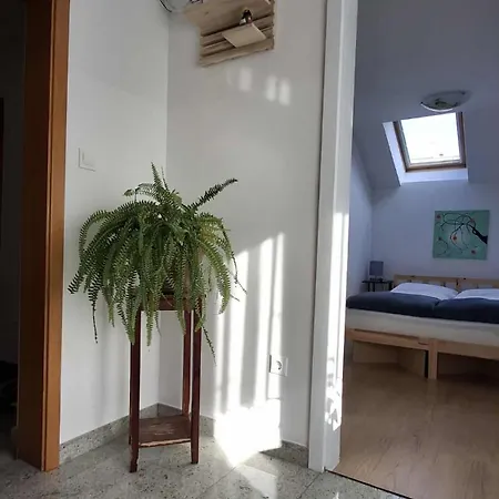 Apartamento Hisa Bizjak